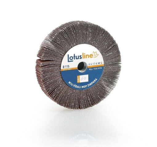 Mop Zımpara 115x20xM14 mm